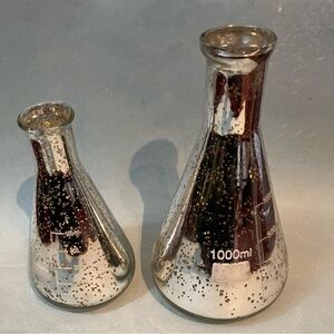 EUC Elegant Expressions | Silver Mercury Glass Beaker Vases | Set of 2